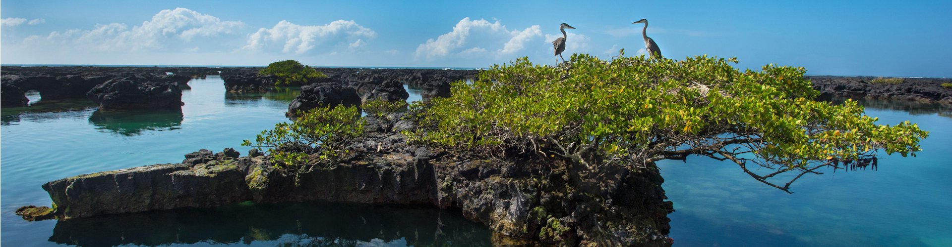 Isabela Island, Galápagos: Volcanoes, Penguins and Wild West